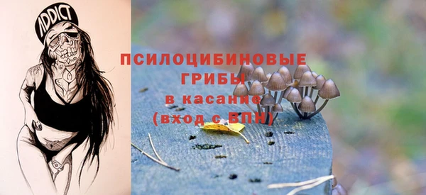 индика Аркадак