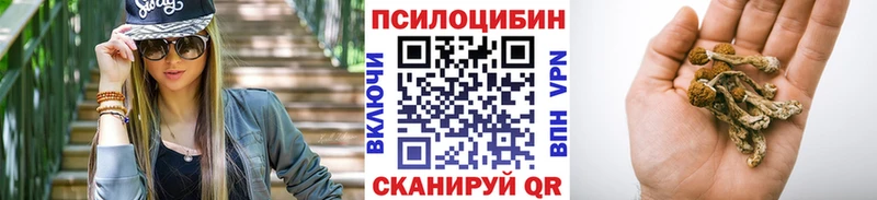 Псилоцибиновые грибы GOLDEN TEACHER  Новоаннинский 