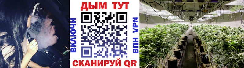 blacksprut как войти  купить наркоту  Новоаннинский  Шишки марихуана семена 